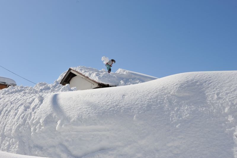 画像: 長期氷温熟成　雪室緑茶